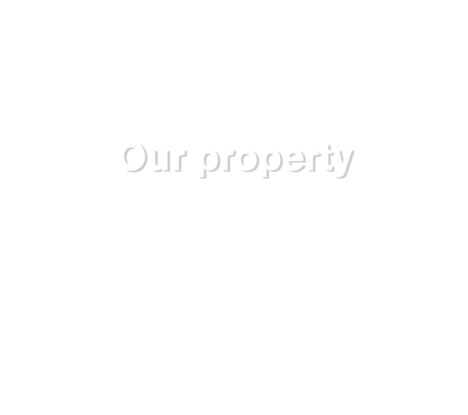Our property 物件をお探しの方はこちらをご覧ください